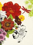 Vibrant Bouquet-Devon Ross-Art Print