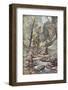 Devon Stream-Lionel Edwards-Framed Premium Giclee Print