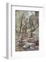Devon Stream-Lionel Edwards-Framed Premium Giclee Print