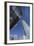 Devon Tower, Oklahoma City, Oklahoma, USA-Walter Bibikow-Framed Photographic Print