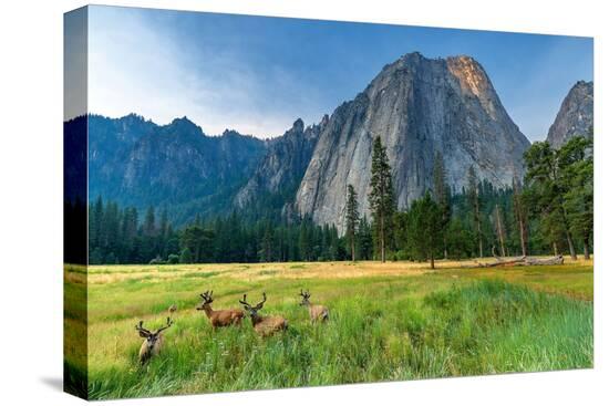 Stretched Canvas Print, , large