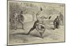 Devon Wrestling, No Doubt About It-Alfred Concanen-Mounted Giclee Print