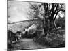 Devonshire Farmstead-null-Mounted Photographic Print