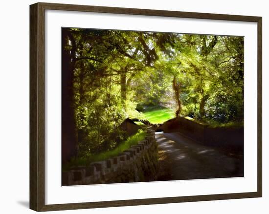 Devonshire Idyll-Jody Miller-Framed Photographic Print