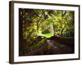 Devonshire Idyll-Jody Miller-Framed Photographic Print