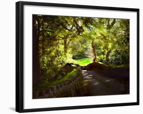 Devonshire Idyll-Jody Miller-Framed Photographic Print