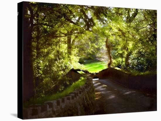 Devonshire Idyll-Jody Miller-Stretched Canvas