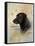 Devoted Friend-Ruane Manning-Framed Stretched Canvas