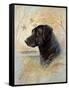 Devoted Friend-Ruane Manning-Framed Stretched Canvas