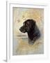 Devoted Friend-Ruane Manning-Framed Art Print