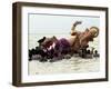 Devotees Immerse a Giant Clay Idol of Hindu Elephant-Headed God Ganesh into the Arabian Sea, Bombay-null-Framed Photographic Print