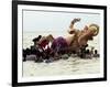 Devotees Immerse a Giant Clay Idol of Hindu Elephant-Headed God Ganesh into the Arabian Sea, Bombay-null-Framed Photographic Print