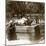 Devout Woman Stroking a Bronze Bull to Cure Rheumatism, Kitano Tenjin Temple, Kyoto, Japan, 1904-Underwood & Underwood-Mounted Photographic Print