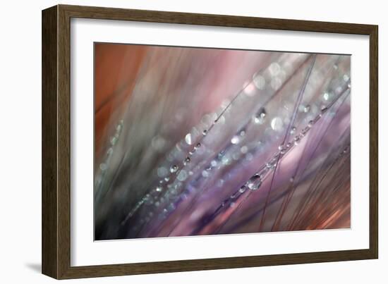 Dew 1-Ursula Abresch-Framed Photographic Print