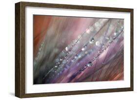 Dew 1-Ursula Abresch-Framed Photographic Print