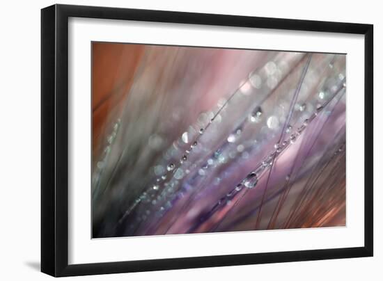 Dew 1-Ursula Abresch-Framed Photographic Print