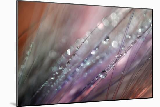 Dew 1-Ursula Abresch-Mounted Photographic Print