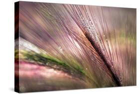 Dew 2-Ursula Abresch-Stretched Canvas