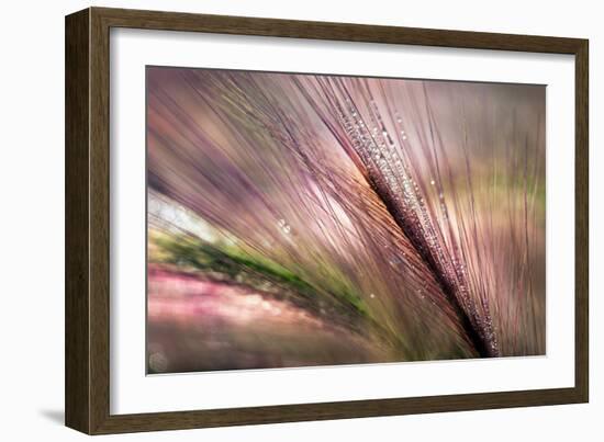 Dew 2-Ursula Abresch-Framed Premium Photographic Print