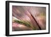 Dew 2-Ursula Abresch-Framed Premium Photographic Print