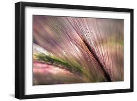 Dew 2-Ursula Abresch-Framed Premium Photographic Print