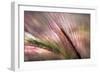 Dew 2-Ursula Abresch-Framed Premium Photographic Print