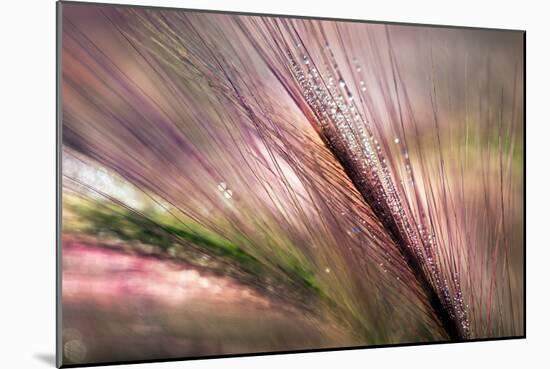 Dew 2-Ursula Abresch-Mounted Premium Photographic Print