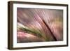 Dew 2-Ursula Abresch-Framed Photographic Print