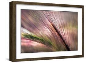 Dew 2-Ursula Abresch-Framed Photographic Print