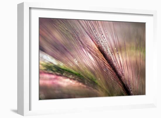 Dew 2-Ursula Abresch-Framed Photographic Print