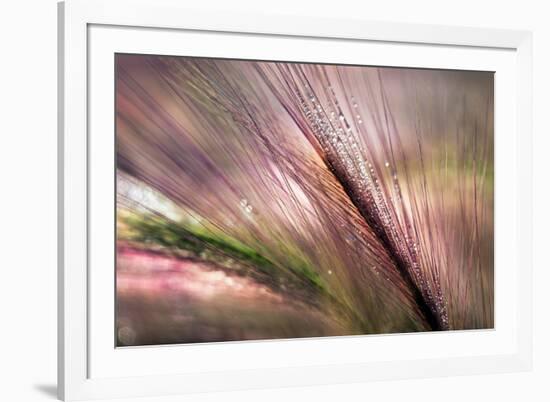 Dew 2-Ursula Abresch-Framed Photographic Print