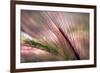 Dew 2-Ursula Abresch-Framed Photographic Print