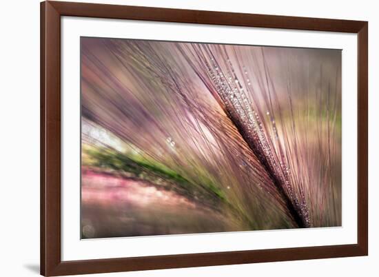 Dew 2-Ursula Abresch-Framed Photographic Print