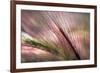 Dew 2-Ursula Abresch-Framed Photographic Print