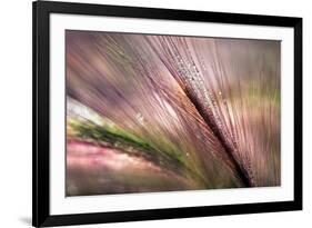 Dew 2-Ursula Abresch-Framed Photographic Print