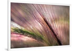 Dew 2-Ursula Abresch-Framed Photographic Print