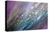 Dew 2-Ursula Abresch-Stretched Canvas