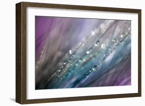 Dew 2-Ursula Abresch-Framed Photographic Print