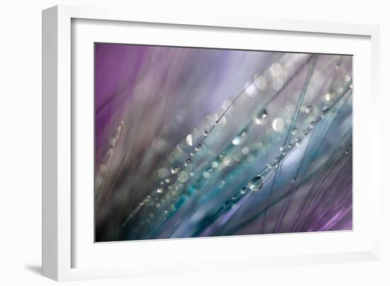 Dew 2-Ursula Abresch-Framed Photographic Print