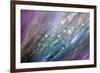 Dew 2-Ursula Abresch-Framed Photographic Print