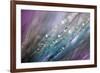 Dew 2-Ursula Abresch-Framed Photographic Print