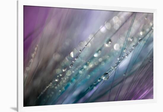 Dew 2-Ursula Abresch-Framed Photographic Print