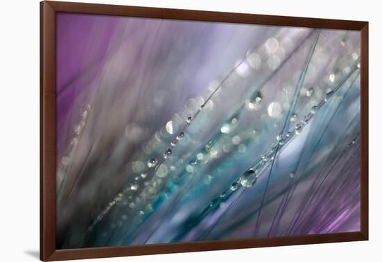 Dew 2-Ursula Abresch-Framed Photographic Print