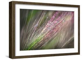 Dew 3-Ursula Abresch-Framed Photographic Print