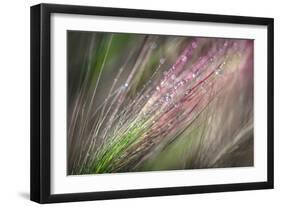 Dew 3-Ursula Abresch-Framed Photographic Print