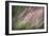 Dew 3-Ursula Abresch-Framed Photographic Print