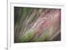 Dew 3-Ursula Abresch-Framed Photographic Print