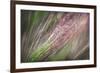 Dew 3-Ursula Abresch-Framed Photographic Print