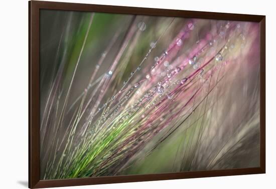 Dew 3-Ursula Abresch-Framed Photographic Print