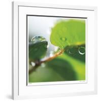 Dew Drops 1-Florence Delva-Framed Giclee Print